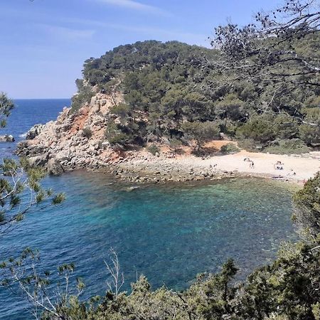 Bandol Maison De Campagne Εξωτερικό φωτογραφία